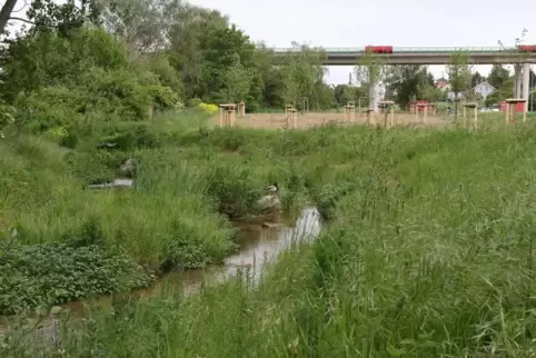 Mäandrierendes Flüsschen nach der Renaturierung, im Hintergrund die Eckbachtalbrücke.