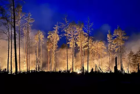 Waldbrand bei Jüterbog. 