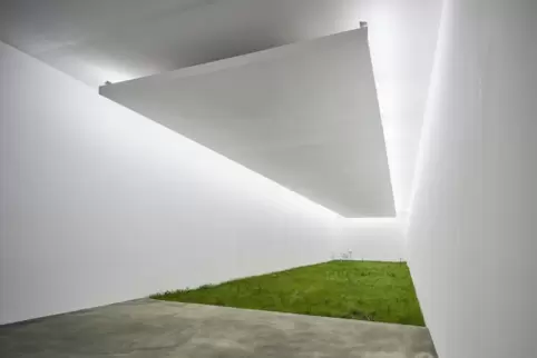Weiß umrahmt und hell beleuchtet: das Stück Wiese des Kunstwerks von Fabian Knecht.