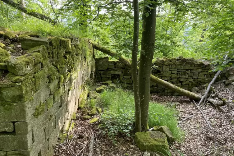 Mauerreste der Burg Hohenfels.