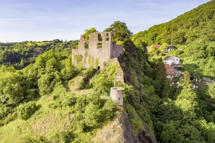 Falkenstein und Hohenfels: 10-Kilometer-Burgentour am Donnersberg - Wandern  im Pflzerwald - DIE RHEINPFALZ