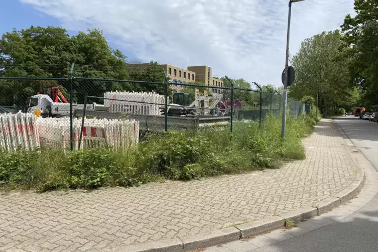 Auf diesem Gelände an der Butenschönstraße/Ecke Holzstraße soll ein Containerdorf für Flüchtlinge entstehen. Am Montagabend woll