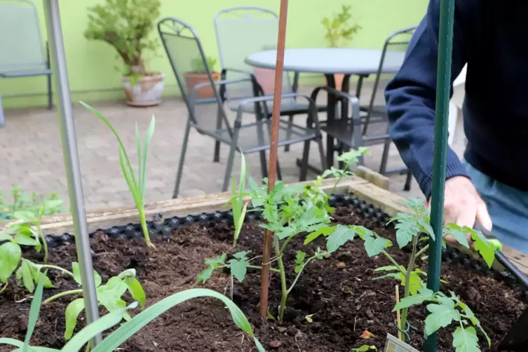 Einige der Senioren pflegen tags&uuml;ber ein Hochbeet. 
