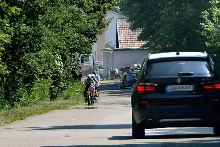 An den Umgehungsstraßen der B10 in der Südpfalz ist es derzeit sehr gefährlich – für Anwohner, aber auch für Radfahrer.