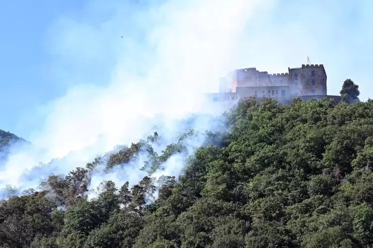 Im vergangenen Jahr brannte der Wald am Hambacher Schloss. 