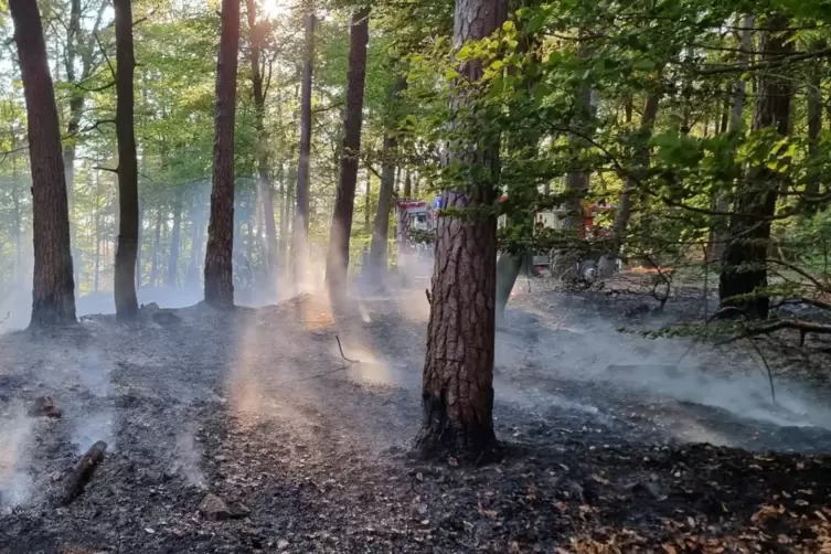 Im Wald brannte es auf einer Fläche von rund 300 Quadratmetern. 