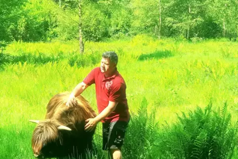 Das schottische Hochlandrind von Mijodrag Sasic hilft künftig bei der Offenhaltung der Auenlandschaft im Schwarzbachtal. 