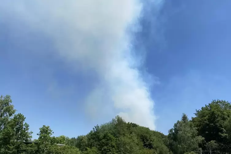 Die Rauchsäule des Waldbrandes war von der Husterhöhe aus deutlich zu sehen.