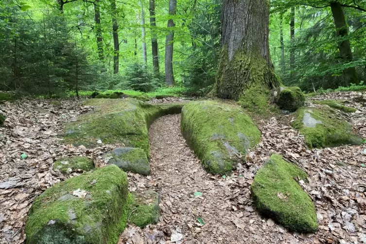 Mysterium: Woher rühren die Bearbeitungsspuren im sogenannten Jardin des Fées?