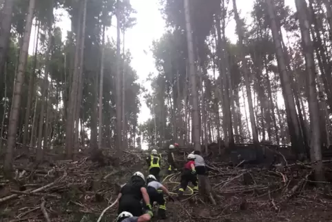 Unter schwierigen Bedingungen waren die Feuerwehrleute im Juni 2022 beim Brand auf dem Maimont bei Schönau unterwegs. 