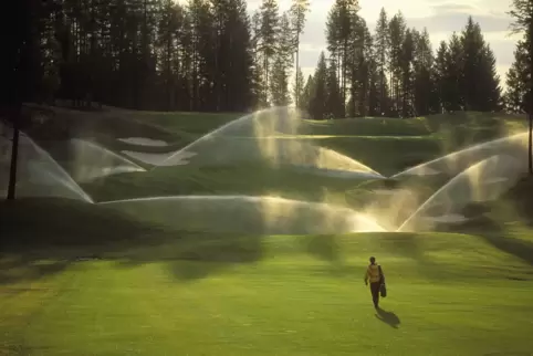 Ohne ausreichend Wasser können Golfplätze nicht in Schuss gehalten werden.