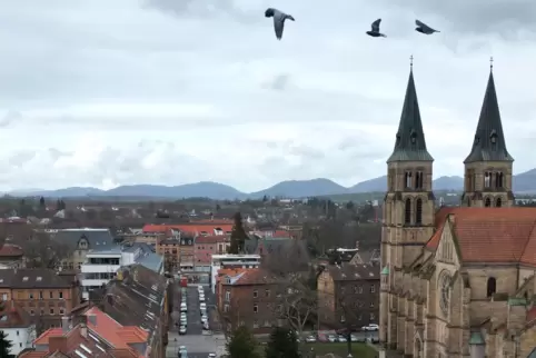 Wird grüner: die Glacisstraße in der Südstadt. 