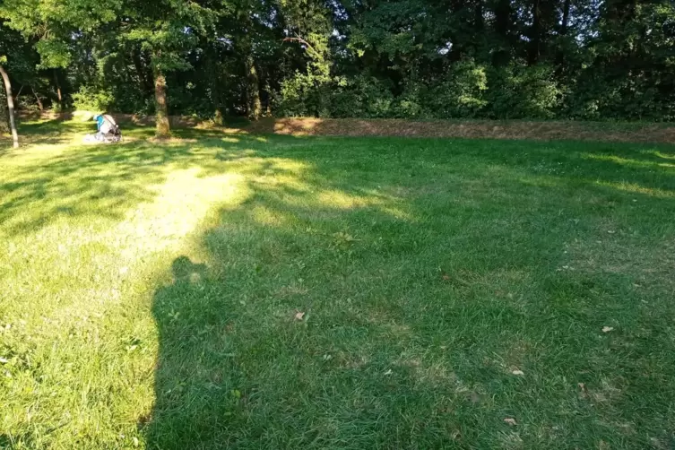 Hier im Waldschwimmbad ist der Ring abhanden gekommen. 