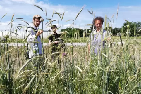Making-of von „Ernte teilen“. 
