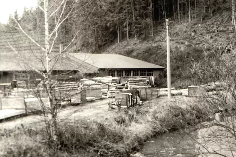 Holzlager im Elmsteiner Tal Ende der 70er-Jahre: Trotz Stilllegung wurden die Gleise ab und an genutzt.