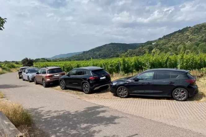 Da waren es schon fünf: entlang des Feldwegs von der Andergasse zur Klausentalhütte geparkte Pkw von Ausflüglern. Da waren es schon fünf: entlang des Feldwegs von der Andergasse zur Klausentalhütte geparkte Pkw von Ausflüglern.
