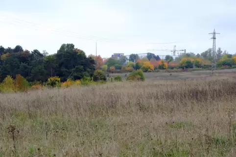 In Sichtweite des Fashion Outlets und von Tadano liegt das geplante Gewerbegebiet auf der Truppacher Höhe.