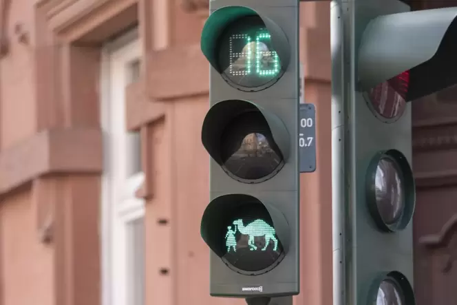 Nach dem Ampelfrauchen mit Dromedar in Landau wäre Bellheim die zweite Kommune in der Südpfalz mit einem speziellen Ampel-Motiv. Nach dem Ampelfrauchen mit Dromedar in Landau wäre Bellheim die zweite Kommune in der Südpfalz mit einem speziellen Ampel-Motiv.