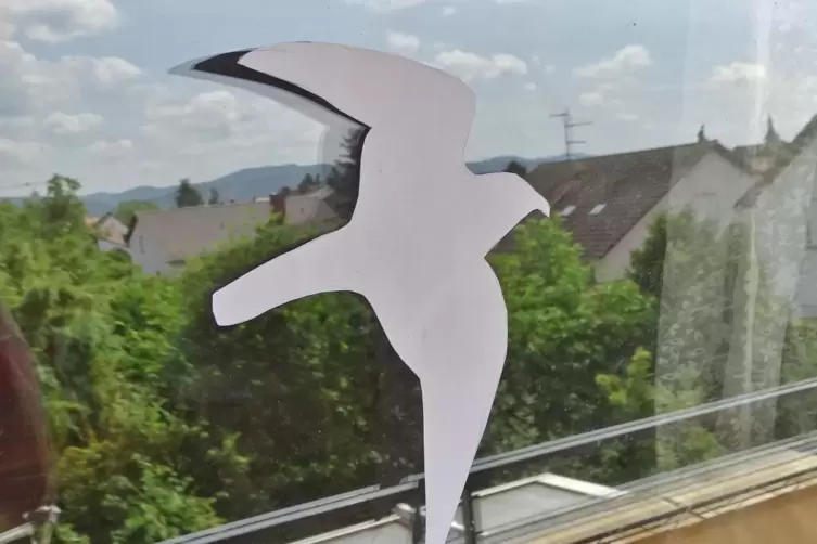 Verbreitet, aber nicht sehr wirkungsvoll sind wei&szlig;e und schwarze Greifvogel-Attrappen. 