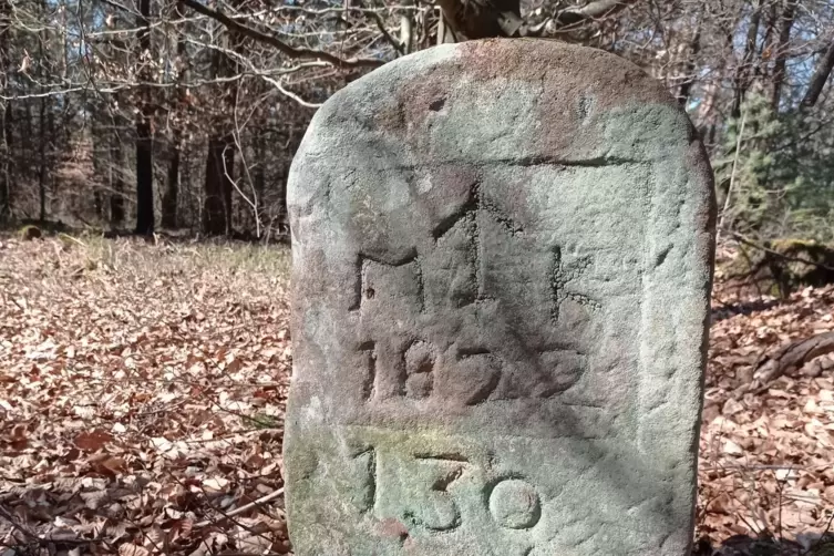 200 Jahre alt: Grenzstein zwischen Maikammer und Kirrweiler.