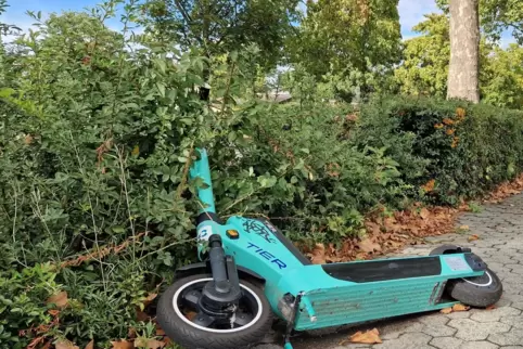Landen auch schon mal in Büschen: E-Roller.