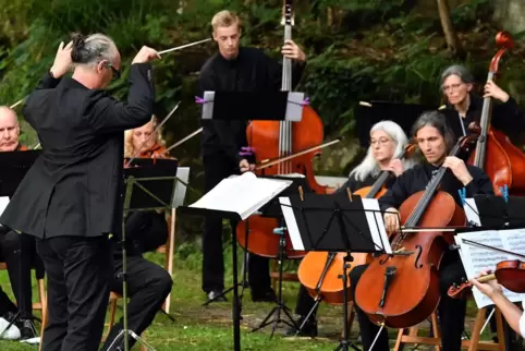 In der Corona-Zeit spielten die Neustadter Sinfoniker ihr Sommerkonzert im Park des Klosters. Jetzt kehren sie in die Innenstadt