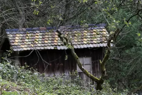 In Ramberg stehen im Wald diverse Schwarzbauten – einige vielleicht schon seit bald 100 Jahren. 