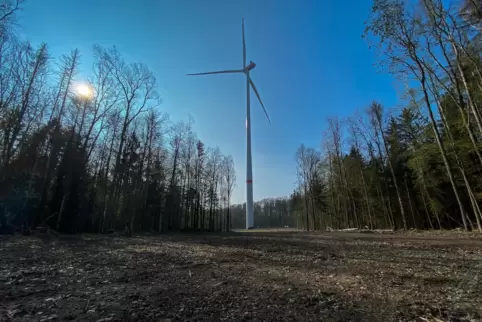 241 Meter hoch ist die defekte Windenergieanlage im Stausteiner Wald bei Kröppen. 