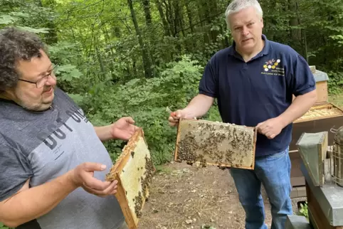 Matthias Sonntag und Michael Kiefer (v.l.). vom Imkerverein Zweibrücken geben einen Einblick in die Honigproduktion ihrer geflüg
