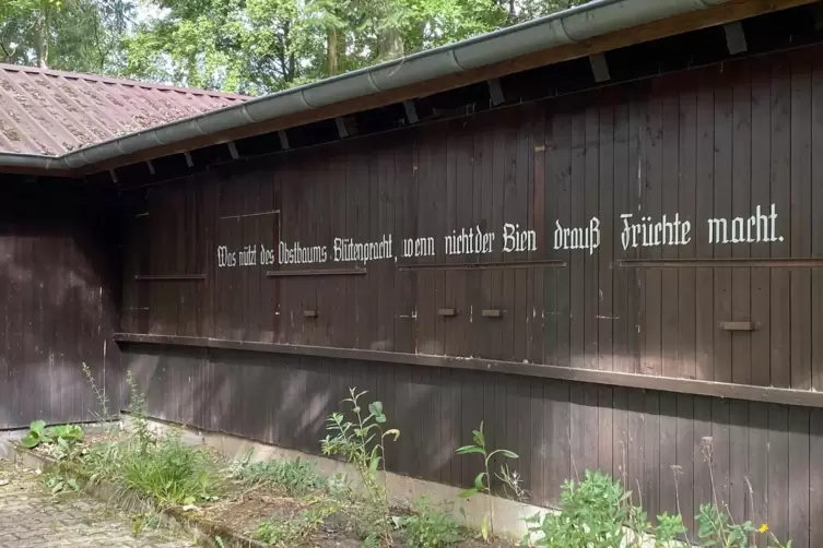 Aufschrift am Vereinsheim. &bdquo;Der Bien&ldquo;? Ein einzelnes Exemplar dieser Tierart hei&szlig;t Biene. In ihrer Gesamtheit werden sie in Imke