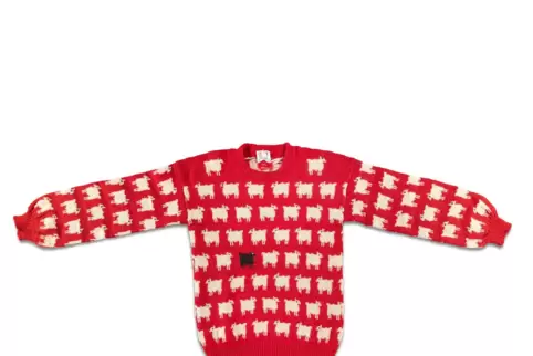 Dieses undatierte, von Sotheby's herausgegebene Foto zeigt den Pullover von Prinzessin Diana. Dieses undatierte, von Sotheby's herausgegebene Foto zeigt den Pullover von Prinzessin Diana.