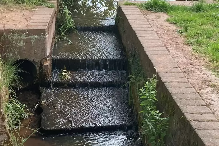 Der Zufluss aus dem Bindersbach wird immer weniger. 