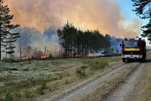 Waldbrand bei Lübtheen in Mecklenburg-Vorpommern: Auch in der Vorderpfalz bereiten sich die Feuerwehren und Forstämter auf ein s
