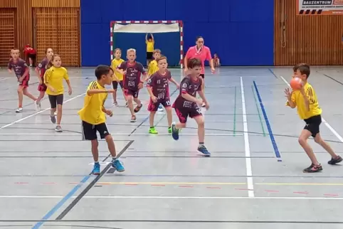 Elf Mannschaften traten beim Handballturnier der Ludwigshafener Grundschulen an. Am Ende setzte sich die Niederfeldschule durch 