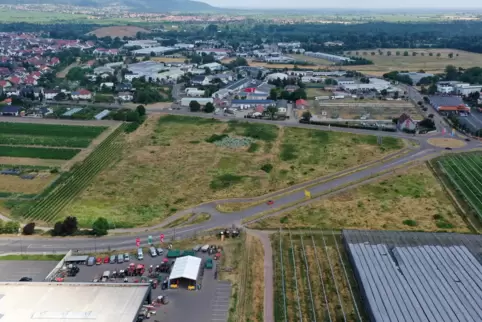 Rechts der Kreisel, von dem Speyerdorfer- und Louis-Escande-Straße abgehen. Zwischen beiden liegt das in Frage kommende Gelände.
