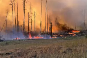 Waldbrand in Mecklenburg-Vorpommern: Auch in den Pfälzer Auwäldern drohen Brände.