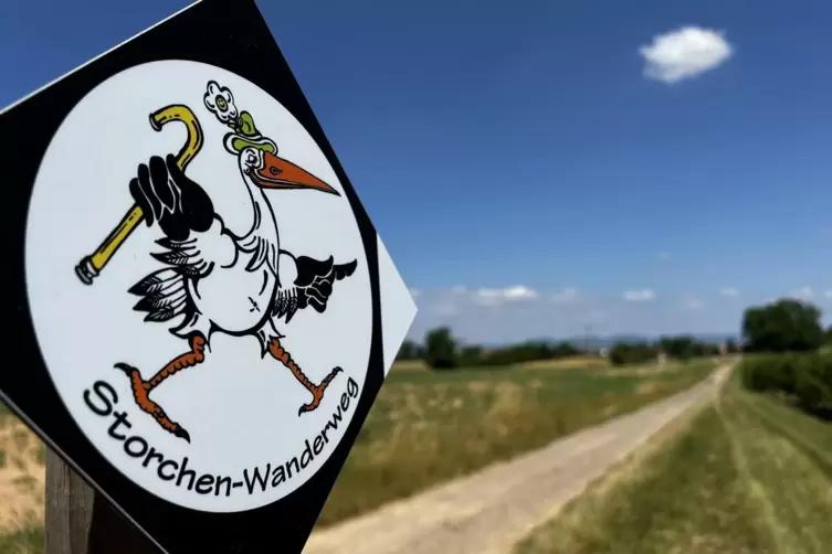 Immer der Markierung nach. Die Runde ist vier Kilometer lang. 