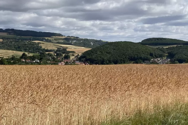 Der vorgesehene Standort des Helikopters befindet sich auf D&ouml;rnbacher Gemarkung. Die ersten H&auml;user sind zirka einen halben Kilom