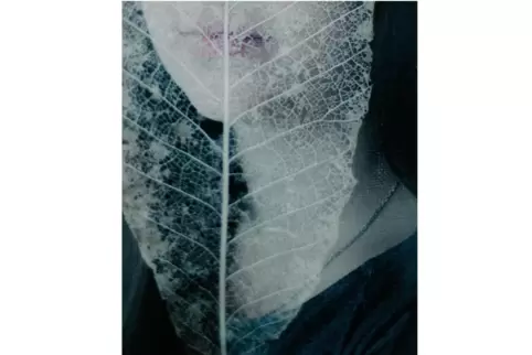 Marta Maria Mróz aus Kaiserslautern nutzt für ihre Fotografie analoge Filter, die sie über die Linse legt – und auch mal Creme. 