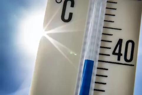 Wortgefechte bei Hitze enden selten friedlich. 
