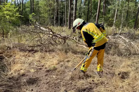 Harte Arbeit: Feuerwehrmann Axel Bielesch recht trockenes Gras zusammen. Um das fiktive Feuer zu stoppen, wird eine Schneise ang