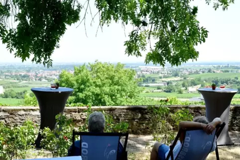 In Liegestühlen vor der Steinmauer hatten die Gäste einen wunderbaren Blick über die Weinlage Himmelreich.