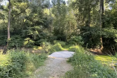 Der Weg und die Brücke zur Insel Nauas sollen sich selbst überlassen werden.