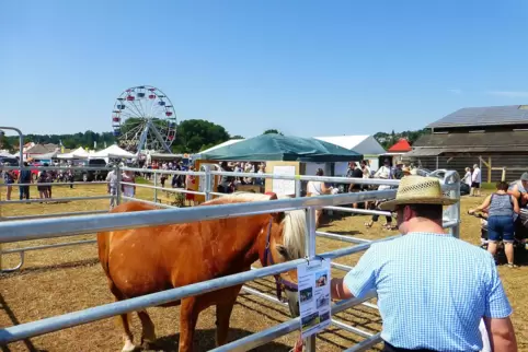 Der Bauernmarkt legte vor über 100 Jahren den Grundstein des Webenheimer Bauernfests. 