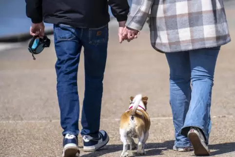 In der Stadt Zweibrücken ist es verboten, Hunde ohne Leine frei laufen zu lassen.