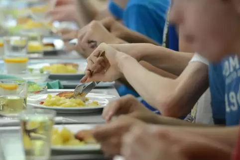 Bis zu 485 Essen wurden zuletzt täglich an die sieben Schulen im Kreis geliefert.