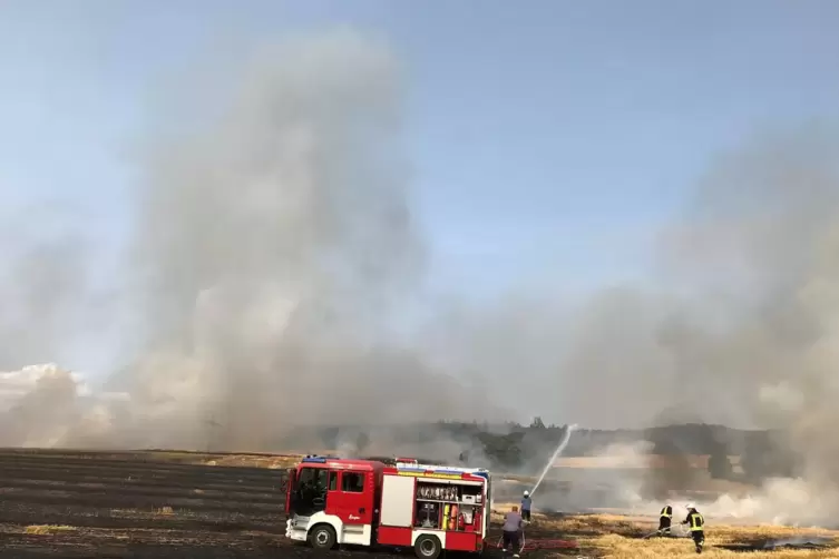 Kampf gegen die Flammen: Am Montagabend waren gut 100 Feuerwehrleute bei Schönborn im Einsatz 