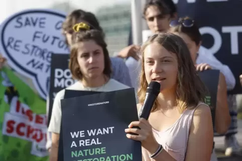Klimaaktivistin Greta Thunberg am Dienstag bei einer Demonstration in Straßburg für das EU-Naturschutzgesetz. 