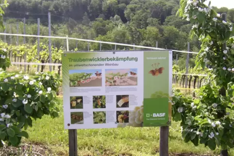 Mit solchen Pheromontafeln informiert die BASF über diese schonende Art der Schädlingsbekämpfung. 