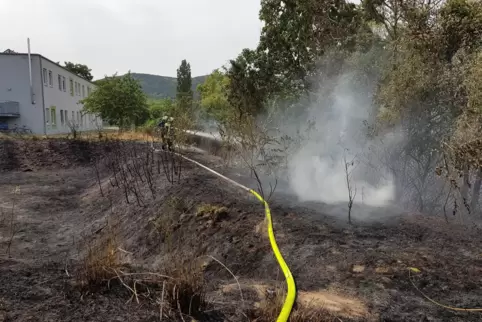 Ende Juni brannte es an der Landwehrstraße. Zum Glück hatte die Feuerwehr alles schnell unter die Kontrolle, und es entstanden k